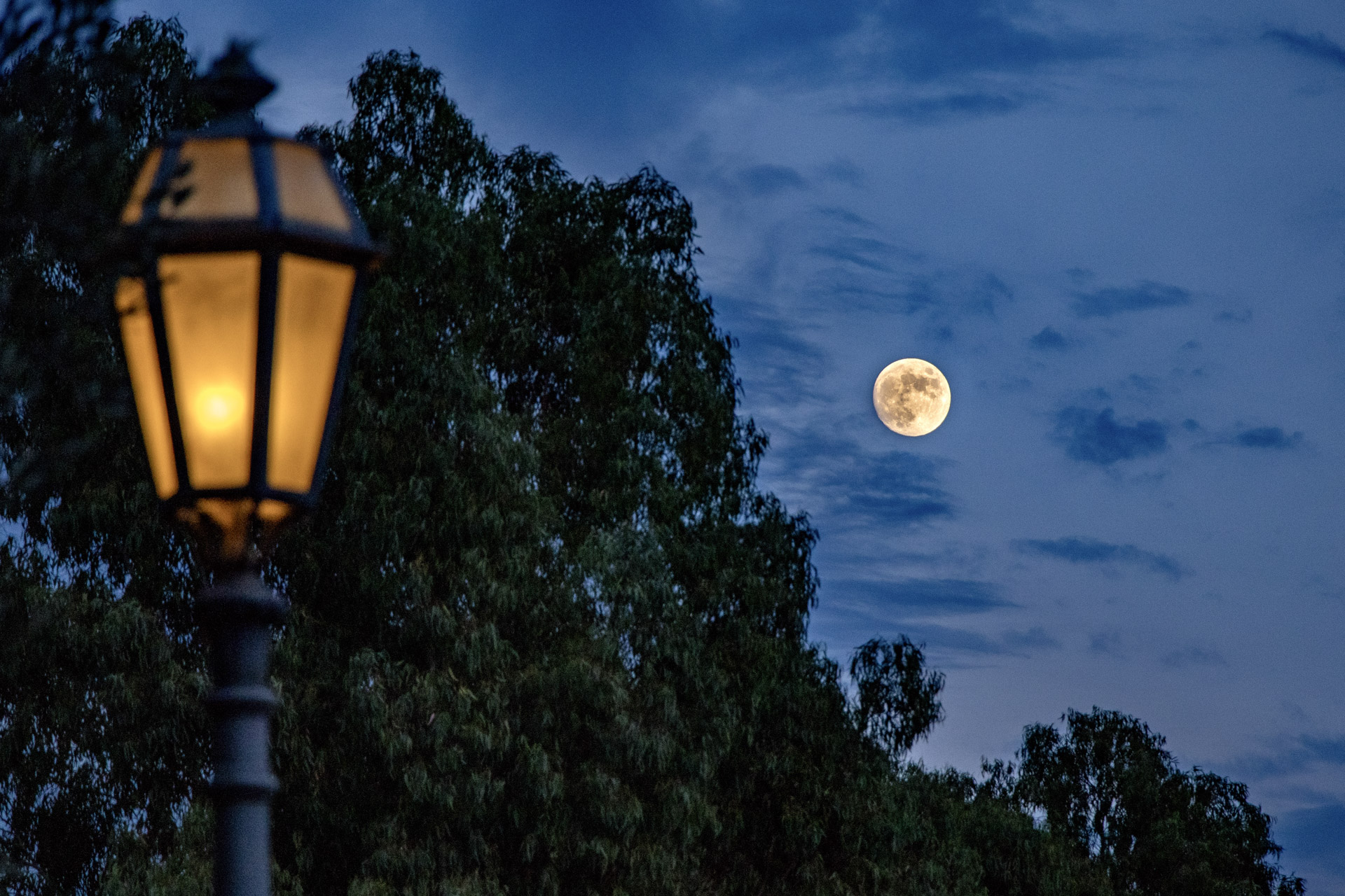 Luna Orbetello